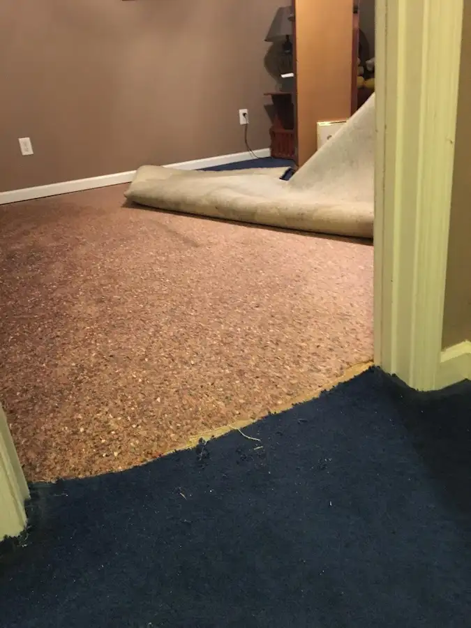 Carpet pad removal revealing water damage during Water Mitigation Services in Lakeville