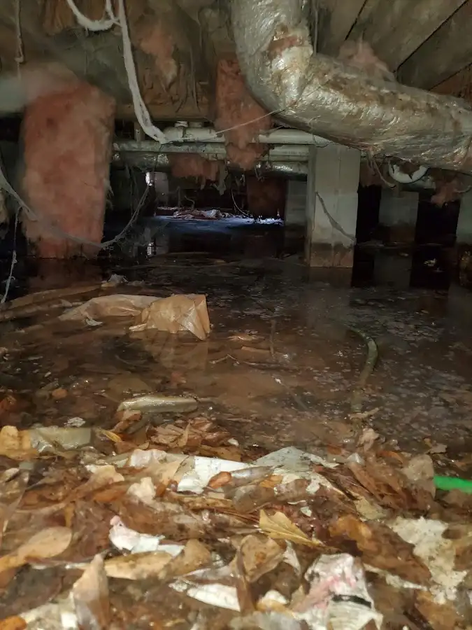 Crawl space flood assessment for Leak Detection & Repair in Lakeville