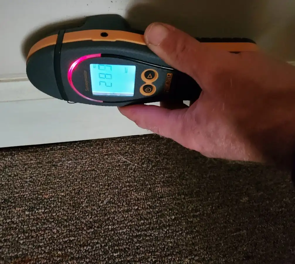 Moisture detection at baseboard during Burst Pipe Cleanup in Lakeville